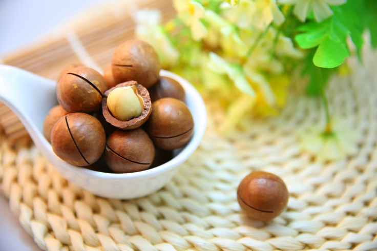 nut protein macadamia nuts